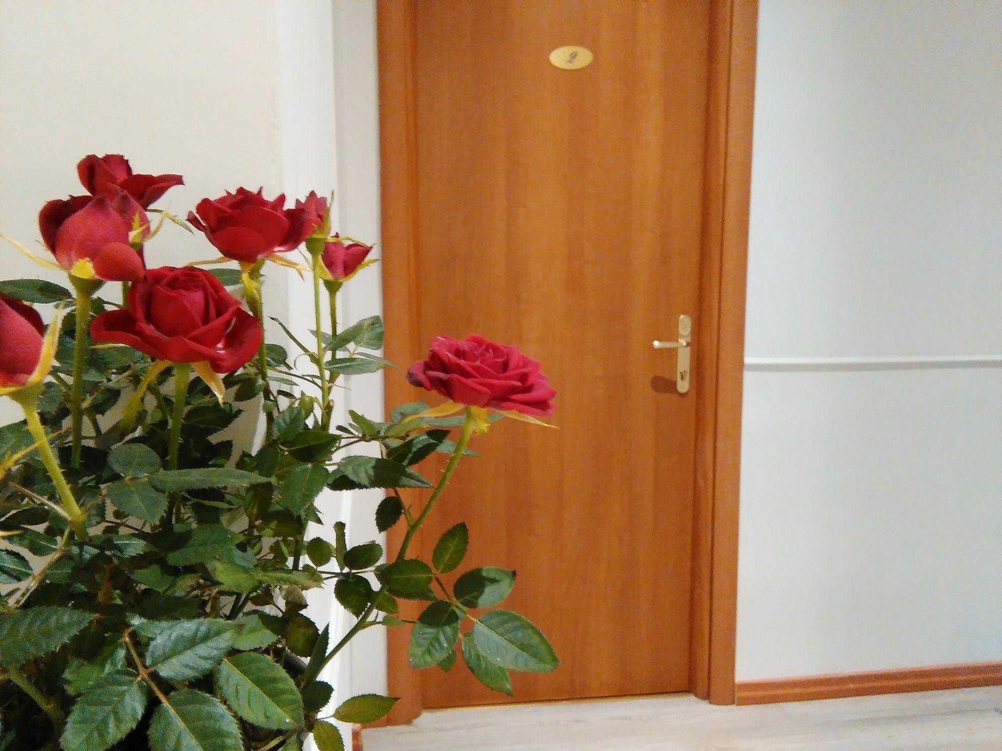 Villa Borghese Guest House Рим Екстер'єр фото
